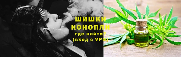 амф Арсеньев