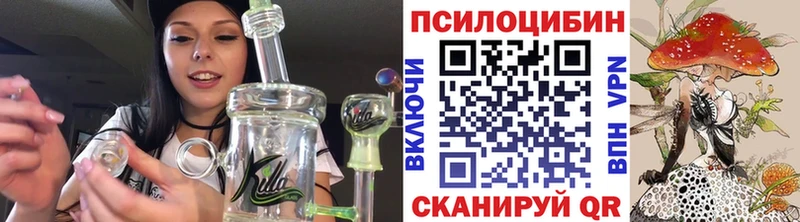 Псилоцибиновые грибы мицелий  это как зайти  Куса 